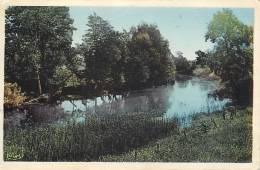 - Depts Div. Ref-JJ444- Yonne - Flogny La Chapelle - L Armançon - Vue Du Pont -  Carte Colorisee - - Flogny La Chapelle