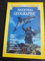 NATIONAL GEOGRAPHIC Vol. 155, N°4, 1979 : Dolphins - Newest Leakey Discovery - - Geography