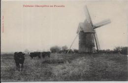 CPA Moulin à Vent Non Circulé Picardie - Windmolens
