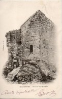 13. Mallemort. Ruines Du Chateau - Mallemort