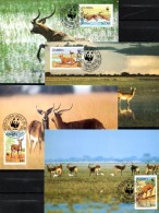 Naturschutz 1987 Wasser-Bock WWF-Set 57 Sambia 438/1 4x MC 20€ Schwarzer Litschi Dokumentation Wild-life Cards Of ZAMBIA - Brieven En Documenten