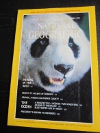 NATIONAL GEOGRAPHIC Vol. 160 N°6, 1981 :    Pandas In The Wild - The Ocean (sans La Carte Annoncée En Couverture) - Géographie