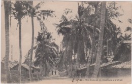 ,ASIE,ASIA,INDOCHINE,cochinchine,vietnam,M YTHO EN 1900,MEKONG,indochina,ave Nue Des Cocotiers,rare - Vietnam