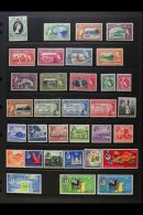 1953-61 NEVER HINGED MINT COLLECTION Presented On A Stock Page, An Attractive, Highly Complete Range To Both $4.80... - Trindad & Tobago (...-1961)