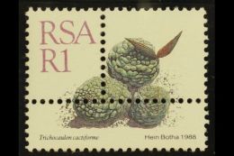 RSA VARIETY 1988-93 R1 Succulent Definitive, Single Stamp With EXTRA PERFORATIONS, SG 667, Never Hinged Mint. For... - Non Classificati