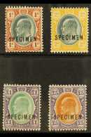 TRANSVAAL 1903 1s - £5 Ed VII Set, Wmk CA, SG 256s/9s, Superb Mint Large Part Og. (4 Stamps) For More... - Non Classificati