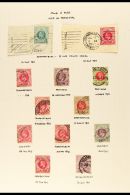 NATAL INTERPROVINCIALS A Collection Of Natal Stamps Used 1910-12 In Natal, Transvaal And Cape, Clear To Fine... - Non Classificati