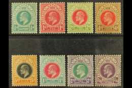 NATAL 1904 - 8 Complete Ed VII Set To 2s 6d, SG 146-157, Very Fine Mint. (8 Stamps) For More Images, Please Visit... - Non Classificati