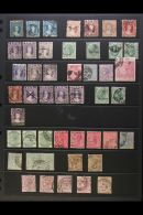NATAL 1859-1908 USED SELECTION On Stock Pages. Useful QV Ranges To Various 1s & A 2s, KEVII Ranges To... - Non Classificati