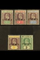 1902 Ed VII Set, Wmk CA, Overprinted "Specimen", SG 58s/62s, Very Fine Mint. (5 Stamps) For More Images, Please... - St.Lucia (...-1978)