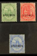 1905 ½d Green, 1d Carmine And 2½d Bright Blue, Ovptd "Specimen", SG 12s, 14s, 17s, Very Fine Mint.... - St.Kitts E Nevis ( 1983-...)