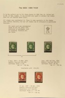 1884 - 1894 WMK CROWN CA SURCHARGE ISSUE Highly Attractive Mint Collection Being Complete For Shades And Overprint... - Isola Di Sant'Elena