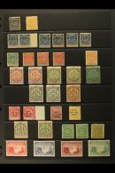 1892-1924 MINT SELECTION On Stock Pages. Includes 1892 1d & 5s, 1892-94 Range To 8d, 1895 P12½ 4d,... - Other & Unclassified