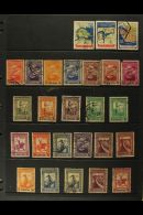 MINT AND USED RANGES - LARGELY ALL DIFFERENT From 19th Century Through To Modern Never Hinged Mint. Can See Useful... - Other & Unclassified