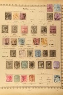 OLD TIME COLLECTION Displayed On 1884 Schaubek Printed Pages Incl. 1856-58 1d Red "Post Paid", 1858-62 6d... - Mauritius (...-1967)