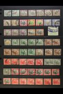 FMS TIGERS COLLECTION 1900-1934 USED SHADED RANGE Presented On Stock Pages. Includes 1900-01 Set With Shades Of... - Altri & Non Classificati