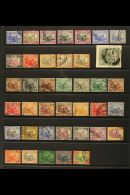 FEDERATED MALAY STATES 1900-34 ALL DIFFERENT USED COLLECTION On A Pair Of Stock Pages. Includes 1900 1c And 3c On... - Altri & Non Classificati