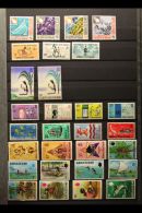 1960-1975 COMPREHENSIVE NEVER HINGED MINT COLLECTION On Stock Pages, All Different, Inc 1965, 1968 & 1971... - Isole Gilbert Ed Ellice (...-1979)