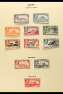 1942-51 KGVI PERF 13 DEFINITIVES Very Fine Mint Collection Of SG Perf 13 (Murray Payne Perf 13 X 12.75)... - Gibilterra