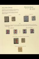 PRIVATE LOCAL POST - FRANKFURT (MAIN) 1886-1899 Fine Mint & Used Collection On Leaves, Inc Privat Brief... - Altri & Non Classificati