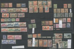 TUNISIA 1888-1981 Ex Dealers Accumulation On Stockcards, Majority Fine Mint And Almost All Different, Noting... - Altri & Non Classificati