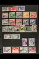 1937-52  FINE MINT KGVI COLLECTION Neatly Presented On A Stock Page. Includes 1937 Coronation Set, 1938-51... - Altri & Non Classificati