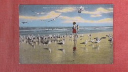 - Florida> Daytona Beach  Feeding The Gulls == Ref  2287 - Daytona