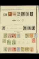 1880-1912 FINE USED COLLECTION On Pages, ALL DIFFERENT, Inc 1880 1d & 2½d Opts, 1882-86 Vals To 6p... - Altri & Non Classificati