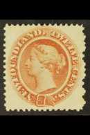 1865-71 12c Pale Red Brown MAJOR RE-ENTRY (plate Position 69), Unitrade 28 Var (SG 33 Var), Fine Unused No Gum,... - Altri & Non Classificati