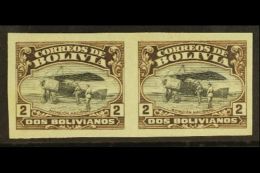 1924 2b Black-brown & Black Air Aviation School Horiz IMPERF PAIR, Sanabria 15 (as Scott C6, SG 175), Very... - Bolivia