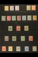 1865-1910 MINT COLLECTION On A Stock Page. Includes 1865-1903 Perf 14 3d Yellow-buff (SG 5) And 6d Dull Mauve (2... - Bermuda