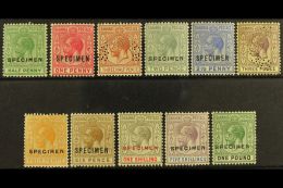 1921-37 Geo V Set, Wmk Script, Overprinted/perfed "Specimen", Complete, SG 115s/125s, Very Fine Mint. (11 Stamps) ... - Altri & Non Classificati