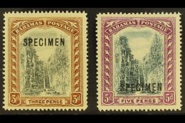 1911 3d Black And Brown And 5d Black And Mauve Staircase, Opt'd "Specimen", SG 76s, 78s, Very Fine Mint. (2... - Altri & Non Classificati