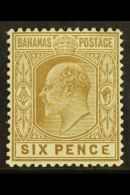 1906-11 6d Bistre-brown, Wmk Mult Crown, With MALFORMED "E" Variety, SG 74a, Very Fine Mint. For More Images,... - Altri & Non Classificati