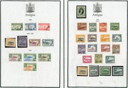 1953-1981 COLLECTION On Leaves, Fresh Mint Or Fine Used Stamps, Inc 1953-62 Defins Set Inc $2.40 & $4.80 (x2)... - Altri & Non Classificati