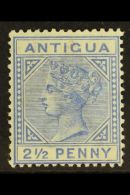 1884-87 2½d Ultramarine Wit Top Left Triangle Detached, SG 27b, Fine Fresh Mint. For More Images, Please... - Altri & Non Classificati