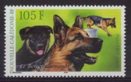 Nouvelle-Calédonie N° 905 Neuf ** - Chiens - Berger Allemand - Neufs