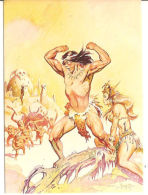 CARD COMIC IMAGES FRAZETTA 12 TARZAN 1993 - Autres & Non Classés