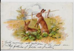 CPA Fantaisie Lapins Lapin Rabbit Habillés Position Humaine Humanisé Bunny Circulé - Geklede Dieren