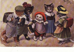 Arthur Thiele Cats In School. Cat - Thiele, Arthur