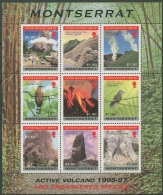 Montserrat 1997 Vulkanausbruch Gefährd. Vogelarten 1008/16 K Postfrisch (C12592) - Montserrat