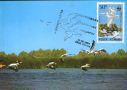 Romania - Maximum Postcard 1986 - Birds - Pelicans In The Danube Delta - Pelícanos