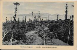 CPSM Nouvelle Calédonie Océanie Calédonia Non Circulé Nouméa - Neukaledonien