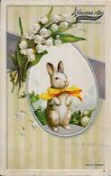 CPA Carte Ancienne Lapin Bunny Rabbit Fantaisie Illustrateur Circulé Position Humaine Gaufrée - Otros & Sin Clasificación