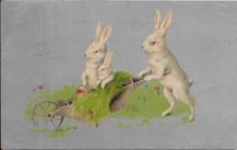 CPA Carte Ancienne Lapin Bunny Rabbit Fantaisie Illustrateur Circulé Position Humaine Paques - Otros & Sin Clasificación