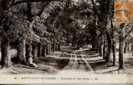 N°50261 -cpa Saint Valery Sur Somme -sous Bois Au Cap Hornu- - Saint Valery Sur Somme