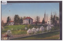 WÄDENSWIL - SCHLOSS - TB - Wädenswil