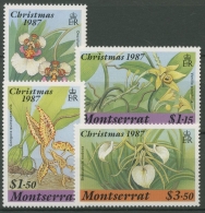 Montserrat 1987 Weihnachten Orchideen 687/90 Postfrisch - Montserrat