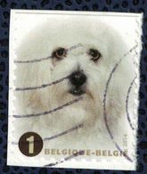 Belgique 2014 Oblitéré Used Races De Chiens Bichon Maltais - Usados