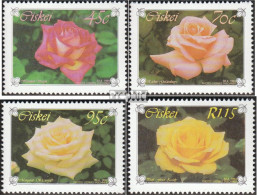 Südafrika - Ciskei 250-253 (kompl.Ausg.) Postfrisch 1994 Rosen - Ciskei